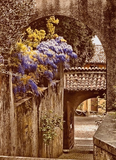 Wisteria Walkway, Lombardy, Tuscany, Italy
