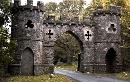 Ancient, Bryansfield Castle Gate, Ireland