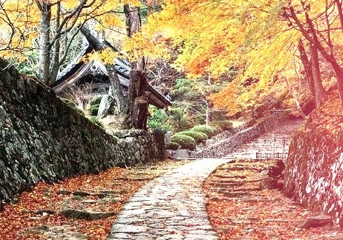Autumn Cottage, Sakura, Japan