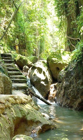 Path to Sacred Monkey Forest in Bali, Indonesia