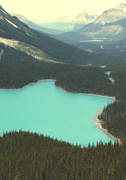 Colours of Peyto Lake, Banff National Park, Canada