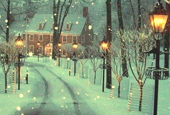 Winter Lane, Bowman's Hill, Pennsylvania