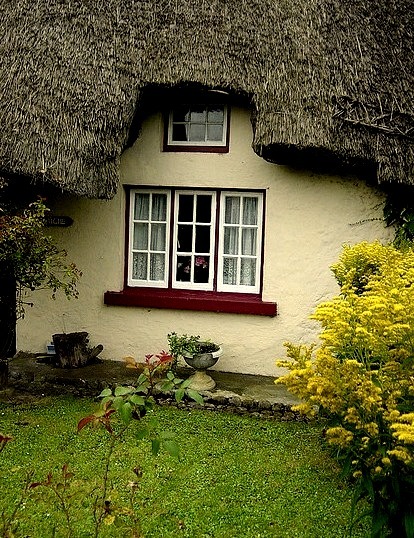 The cozy irish cottage
